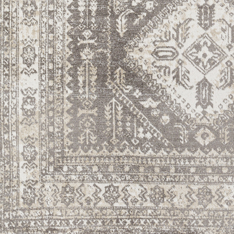 Dickison Washable Oriental Indoor Rug, Runner 2'7" x 7'3"