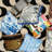 Schumacher x Johnson Hartig Robert Burns Fabric