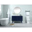 Steinfeldt 48' Single Bathroom Vanity Set-666110193