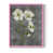 Pink Single Picture Framed