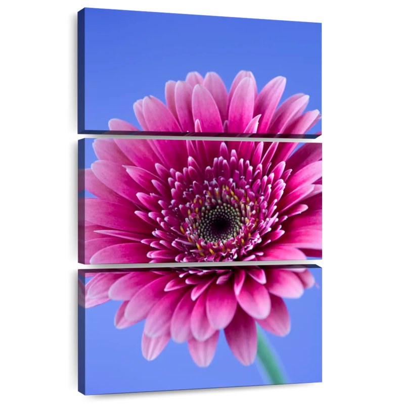 Harnek Pink Gerbera Daisy I, 74" H x 48" W