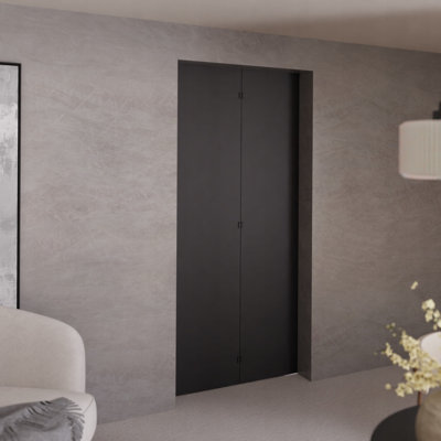 Folding Interior Door