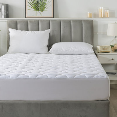 Starkes Alwyn Home 1