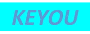 Logo KEYOU