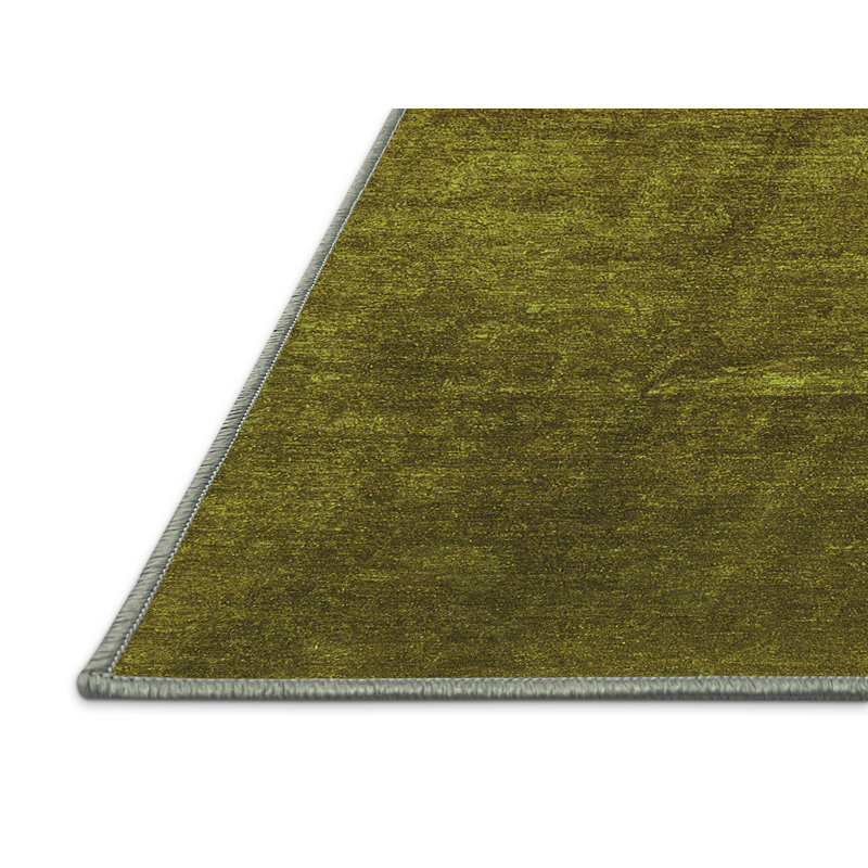 Eralp Washable Indoor Rug, Rectangle 6' x 9'