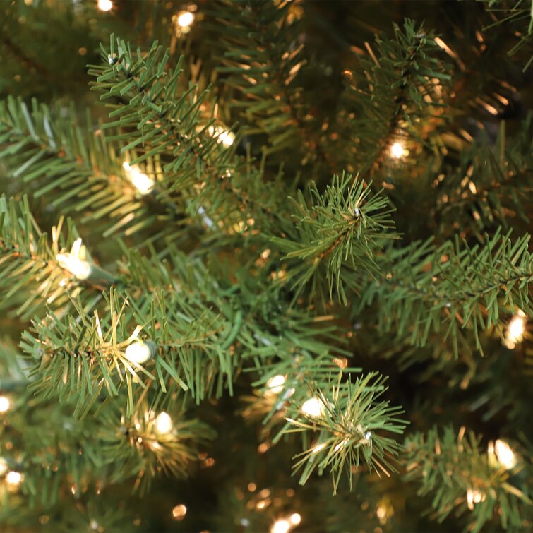 The Holiday Aisle® 7.5' Lighted Fir Christmas Tree & Reviews