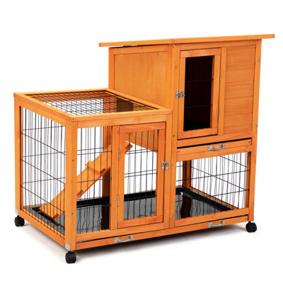 Enceinte orange détachable pour animaux de compagnie - amplement d'espace pour les lapins et au-delà du toit roulant imperméable