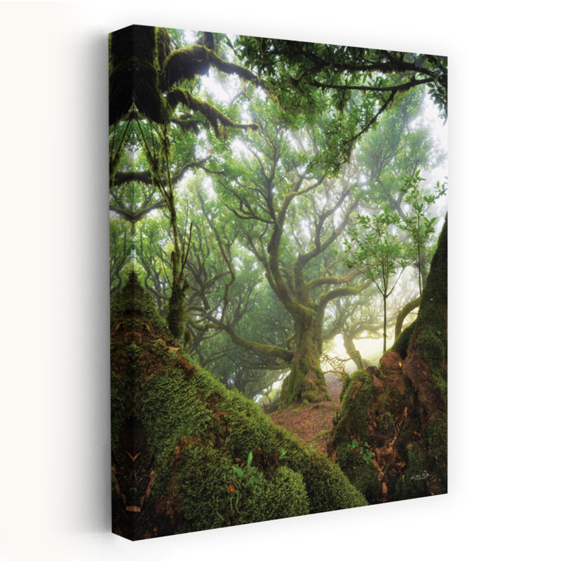 Arbre, arbre, abstrait, forêt contemporaine, art, H 60 po x l 40 po