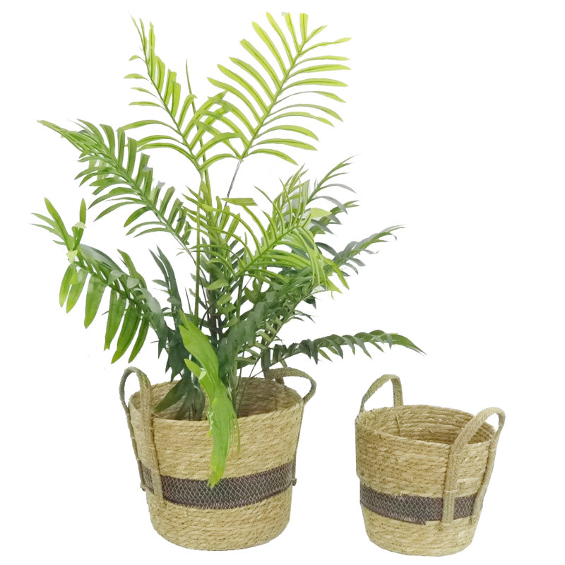 Dovecove Seagrass Bin