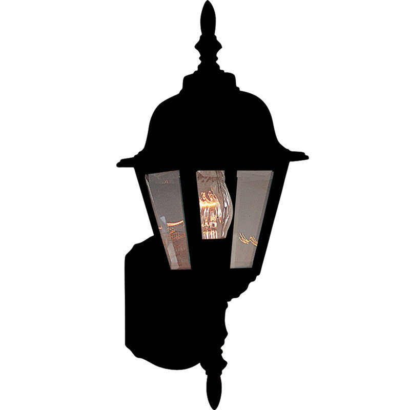 Allegan Wall Light, Black