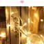 Guirlandes lumineuses-679767068
