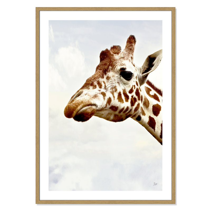 Grumpy par Nan - reproduction de photo sur papier encadrée, H 41,5 po x l 29,5 po x P 0,88 po, Encadré naturel