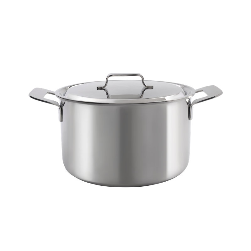 Professional Secrets Non-Stick Stainless Steel Standard Pot, 6 Litres