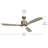 Ridley 52'' Ceiling Fan with LED Lights