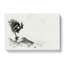 Growing Bonsai Tree In Abstract - Wrapped Canvas-55311963