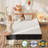 Alwyn Home Innerspring Mattress Medium Hybrid Mattress in a box With Certipur-US Certified Pocket Spring, Pressure Relief, and Motion Isolation-93746224-93746227