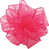 Fuchsia est en rupture de stock