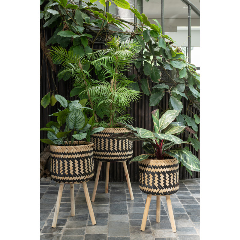 55 cm H Faux Pothos Plant in Plastic Planter