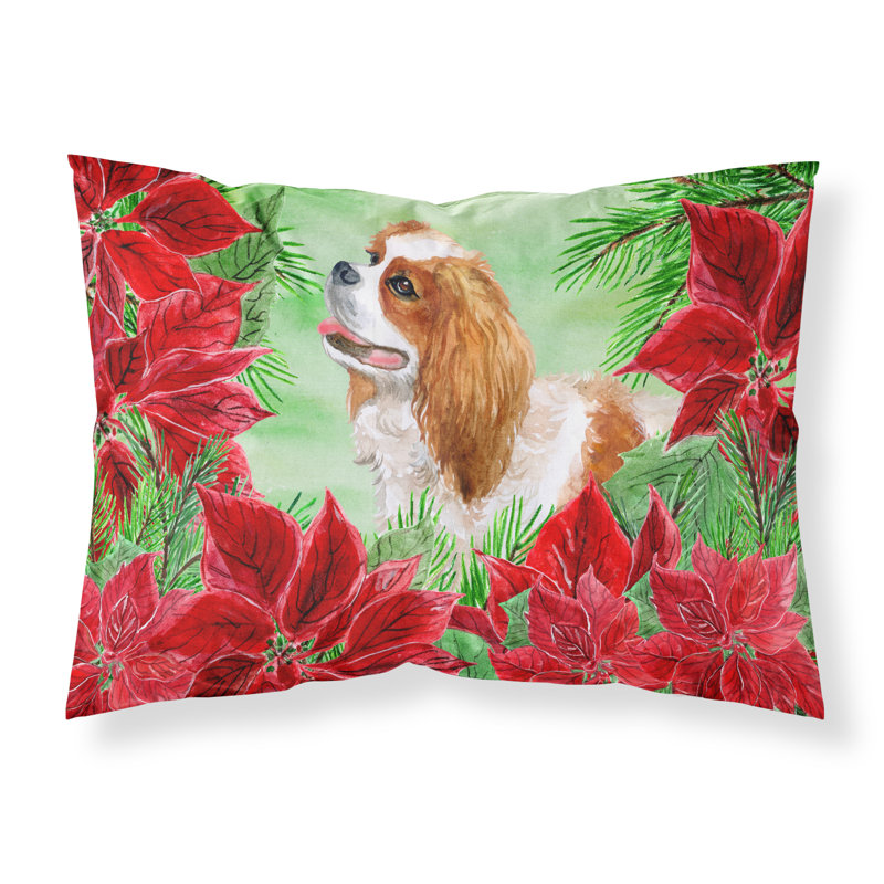 Microfiber, Cavalier Spaniel