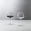 Vera Wang for Wedgwood Swirl Red Wine Glass, Set of 2