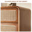 Armoire de rangement pour chaussures Retro