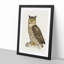 Eurasian Eagle-Owl by Von Wright - Picture Frame Painting Print-55725975-55725977