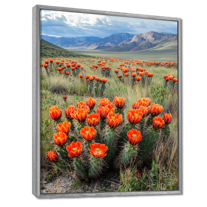 Markay Blooming Cacti Desert At Sunset I - Cactus Wall Art, 44" H x 34" W, Floater Framed Print, Silver