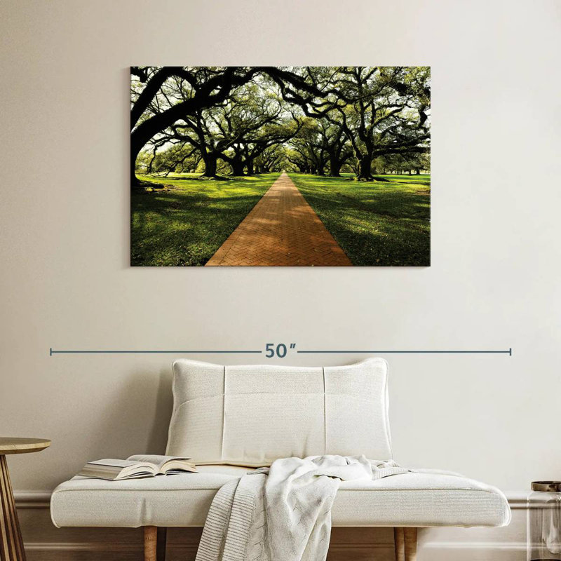 Sireci Old Oak Road, 26" H x 39" W