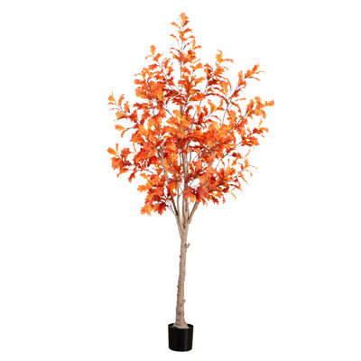 Arbre d'automne