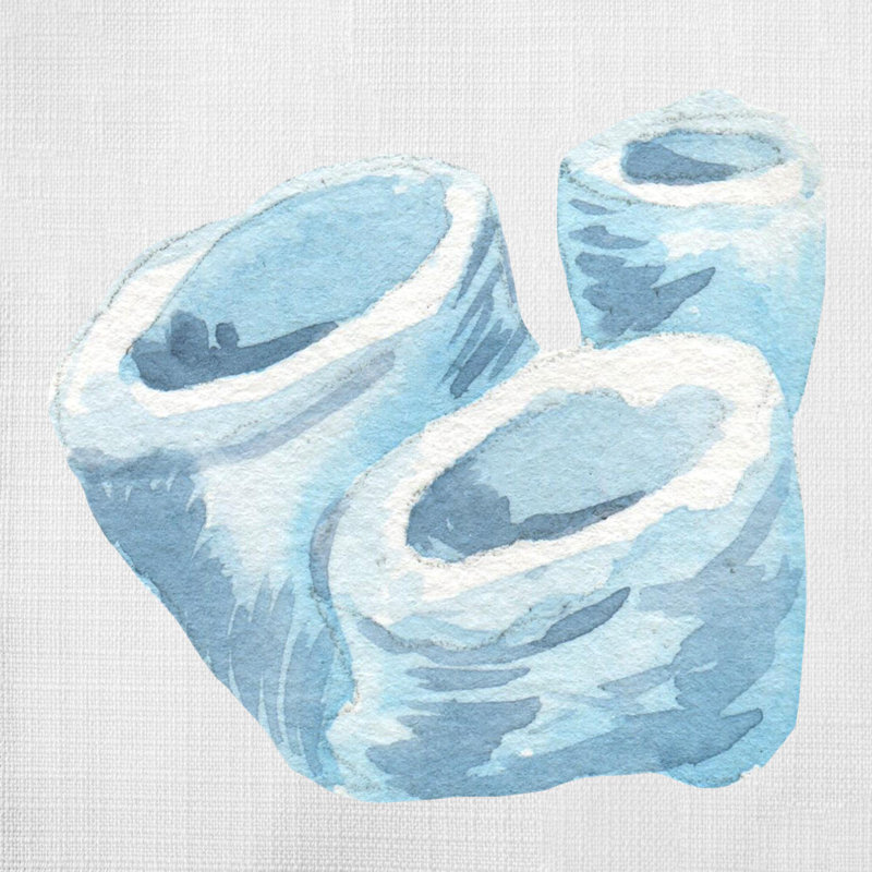 Coussin Camoni, H 18 po x l 18 po