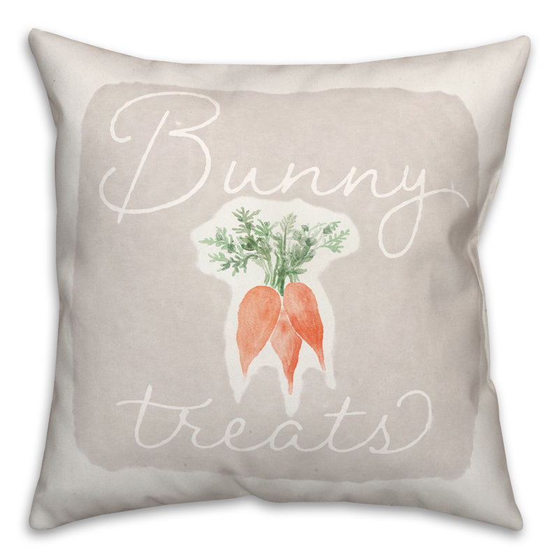  Housse et insert de coussin carré Bunny Treats, H 16 po x l 16 po x P 1,5 po