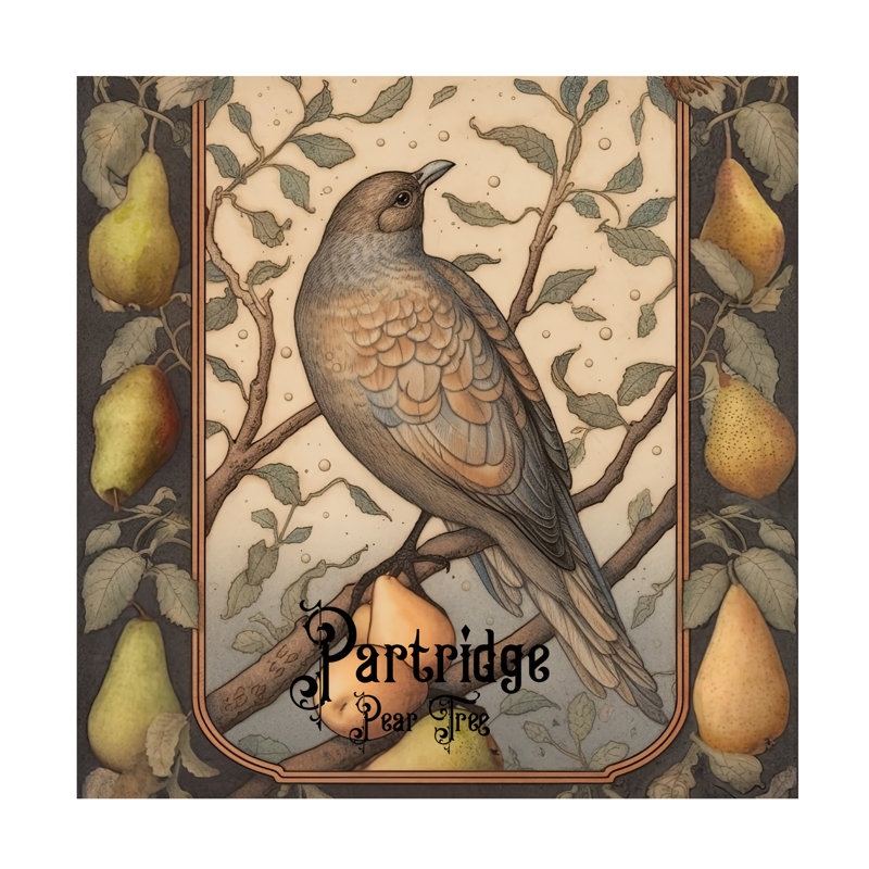 Art sur toile «Bolla Sasha Partridge In A Pear Tree», H 14 po x l 14 po