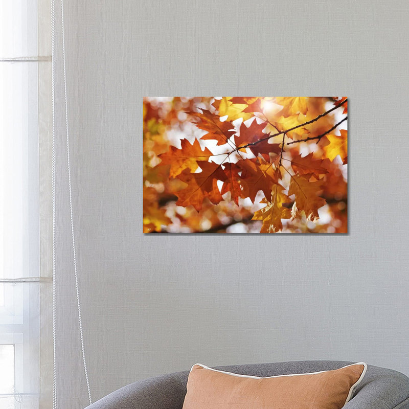 Autumn Oak Leaves by Alyson Fennell - Wrapped Canvas Panoramic Print, 66.04 cm H x 45.72 cm W x 1.91 cm D