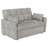 Tufted Cushion Pull-Out Sleeper Sofa Bed