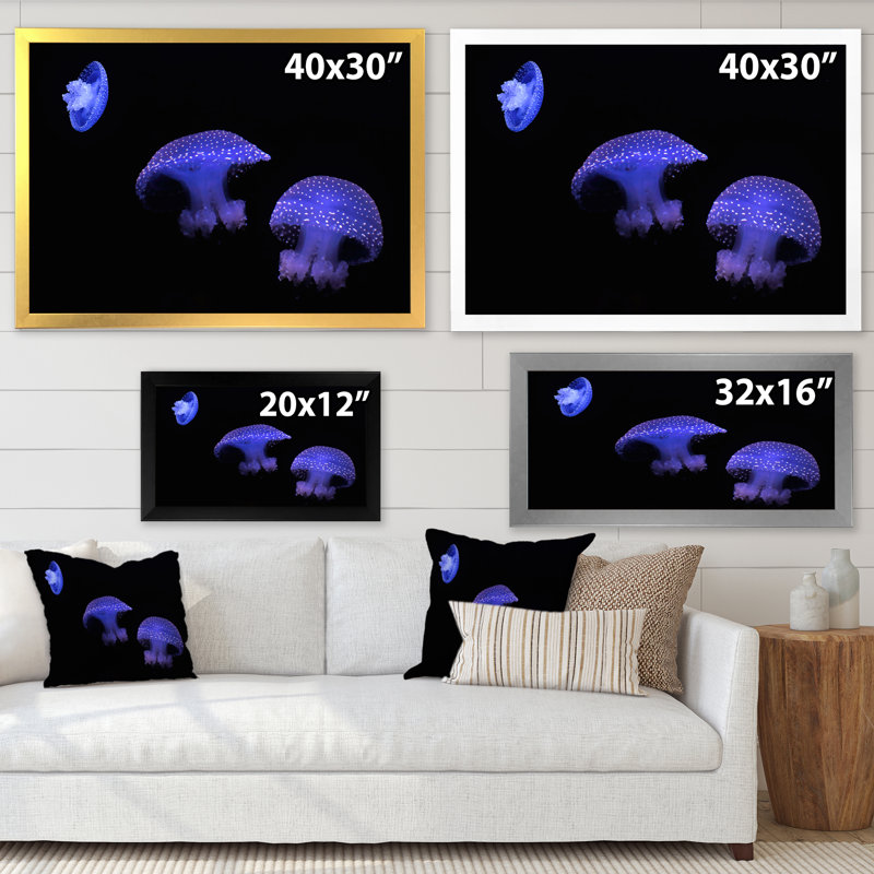 Reproduction sur toile - Méduse mauve sur fond noir, H 24 po x l 32 po, Toile blanche avec cadre d'angle fermé