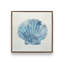 «Blue & White Seashell» par Cat Thurman Designs, reproduction d'art-185983629-185983628-185983626