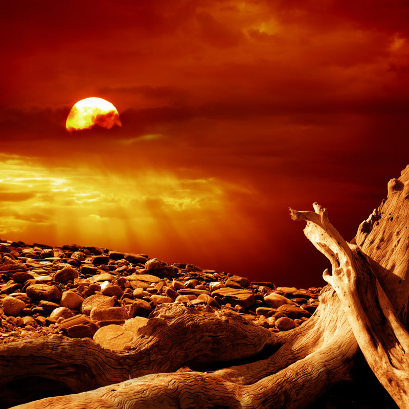 Global Warming by Imagedepotpro, 12" H x 12" W