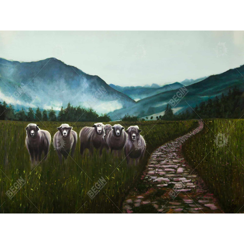 Sheep in the countryside Bath Mat with Non-Slip Backing - Quick Dry Memory Foam Bathroom Rug - Absorbent - Modern Plush Spa-Style - Machine Washable