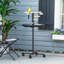 Meuble de jeu Pawhut Bird