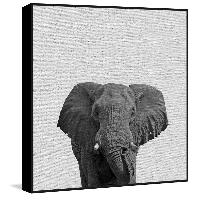Big Elephant by Marmont Hill - Floater Frame Print on Canvas, 61cm H x 61cm W 