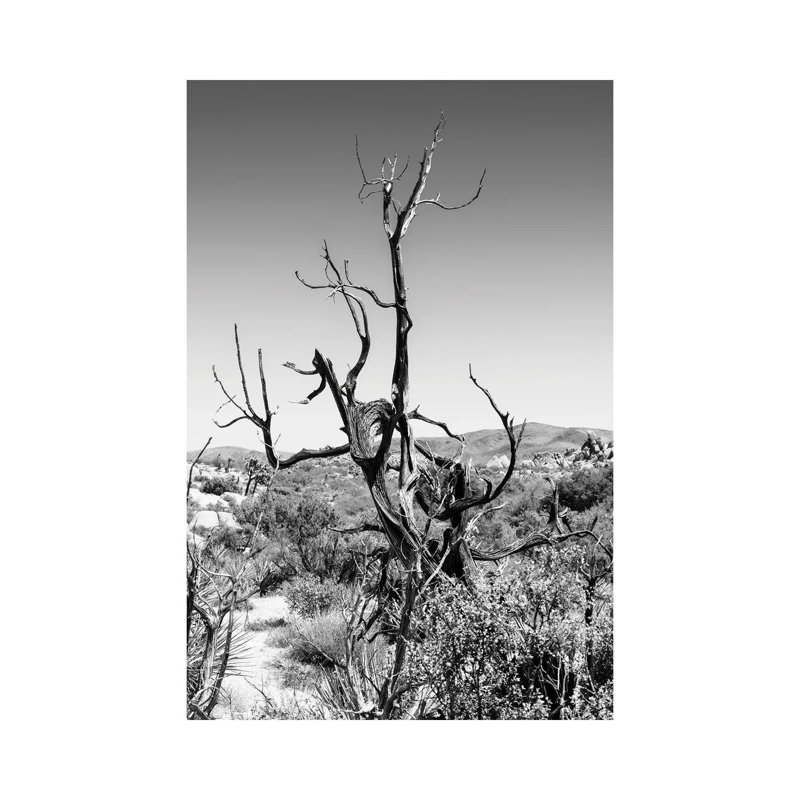 «Black California Series - Dry Tree» par Philippe Hugonnard - reproduction de photo sur toile tendue