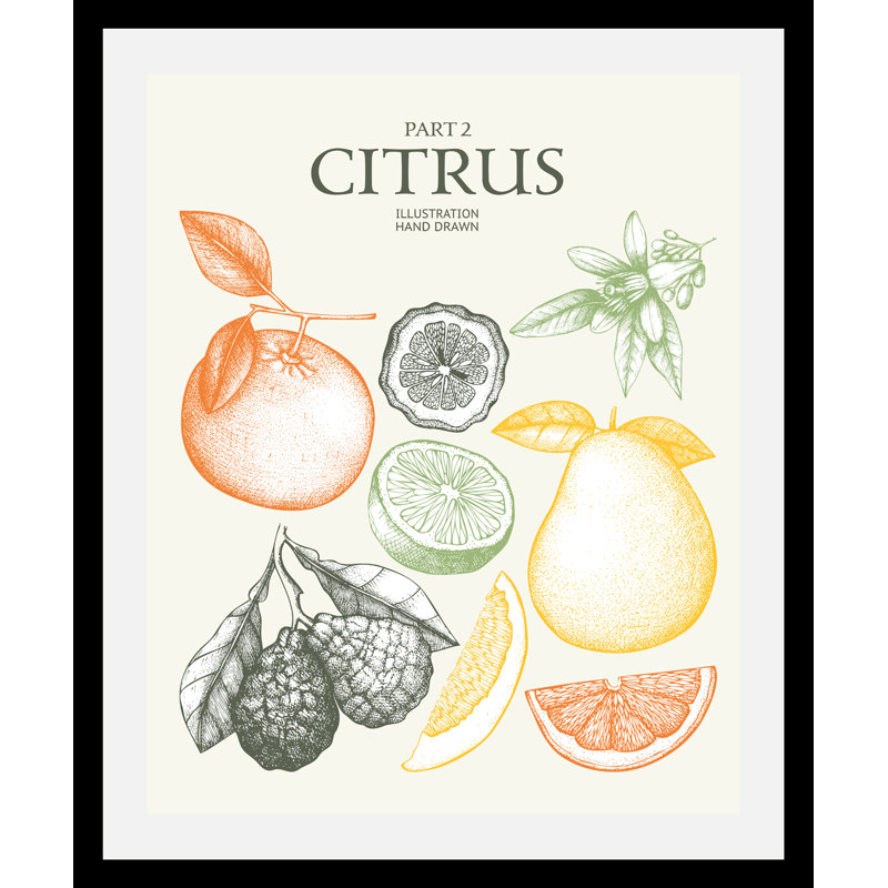 Citrus - Single Picture Frame Print, 70cm H x 50cm W