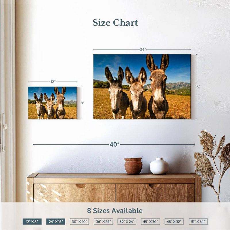 Brampt Donkey Trio, H 16 po x l 24 po