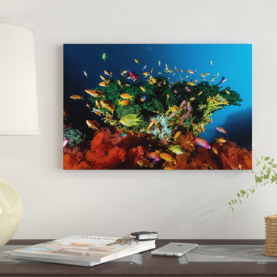 «Reef Scene with Anthias Fish, Cebu, Philippines», impression sur toile