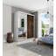Modern 2 Door Sliding Wardrobe-1723723366