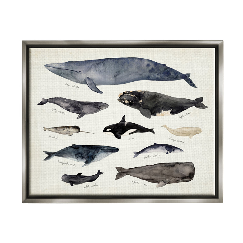 Art mural rétro sur toile, "Marine Life" par Victoria Barnes, H 17 po x l 21 po x P 1,7 po, Cadre flottant gris lustré
