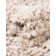  Beige Area Rug