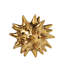 Urchin Object-1005227016