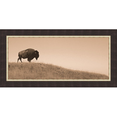 " Buffalo Guardian "