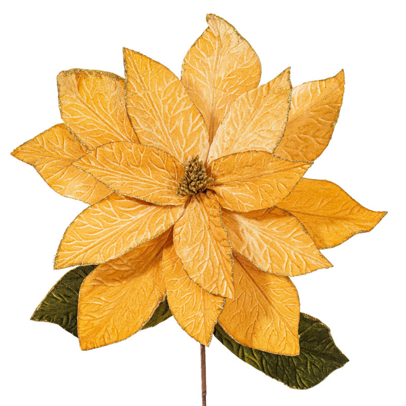 Tiges de poinsettia, Or